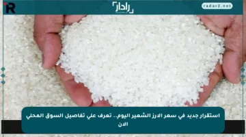 استقرار جديد في سعر الأرز الشعير اليوم.. تعرف على تفاصيل السوق المحلي الآن
